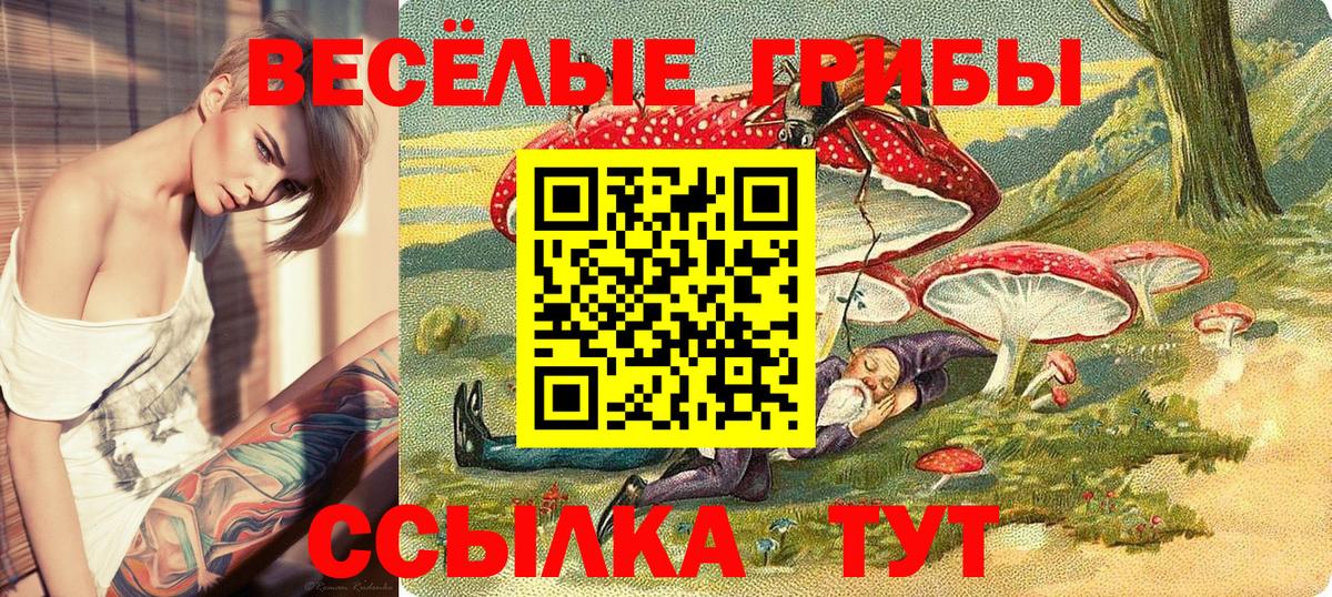 Псилоцибиновые грибы Cubensis Армавир