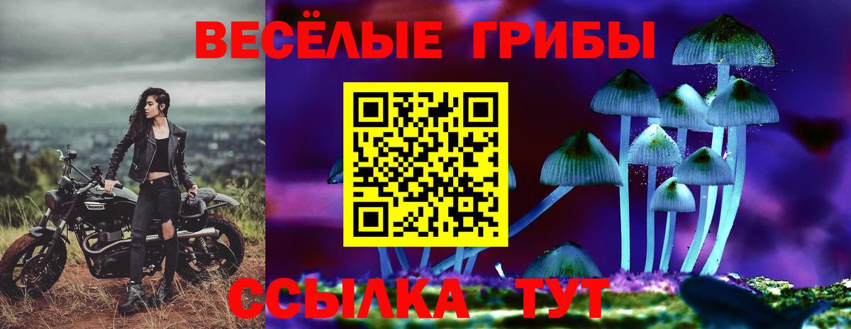 Армавир  Псилоцибиновые грибы MAGIC MUSHROOMS  Вход с VPN  Галлюциногенные грибы Psilocybine cubensis 